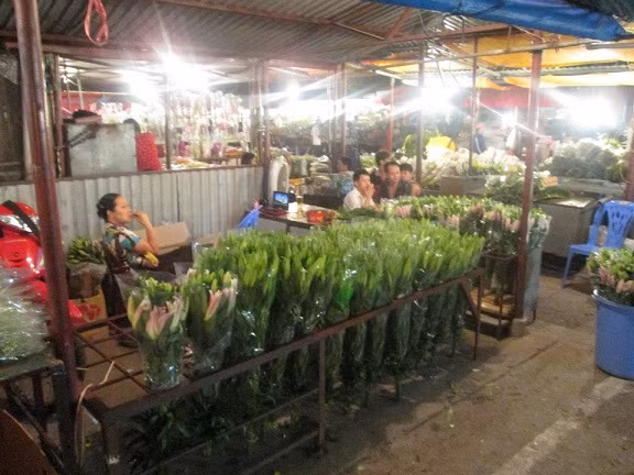 Hoa ly có giá từ 25.000 - 30.000 đồng/bông.