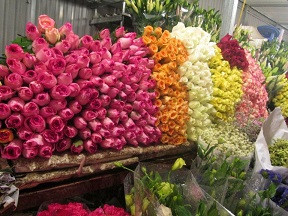 Hoa hồng, loại hoa không thể thiếu trong dịp 8/3, đang được bán với giá 10.000 - 12.000 đồng/bông.