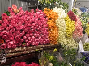 Hoa hồng, loại hoa không thể thiếu trong dịp 8/3, đang được bán với giá 10.000 - 12.000 đồng/bông.