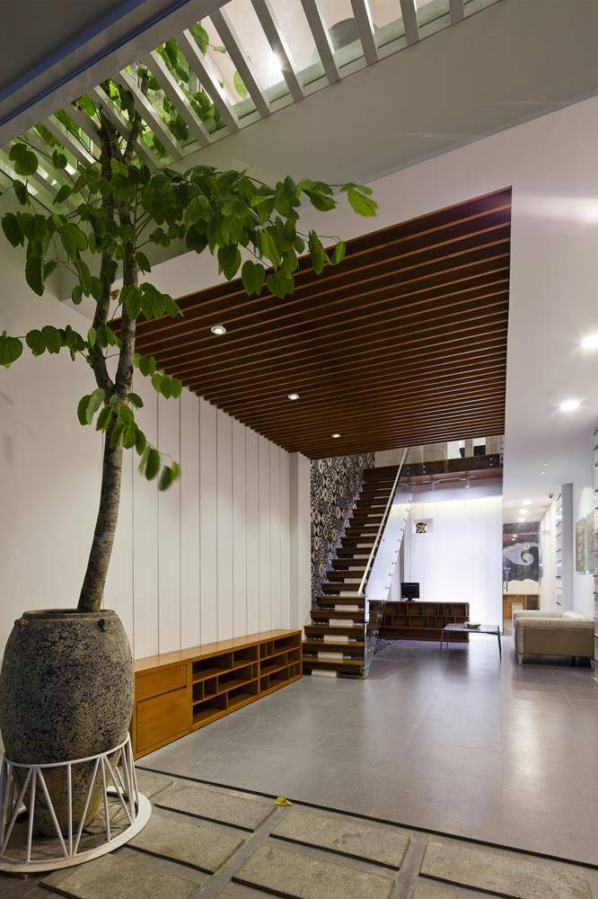 Cây hoa ban còn có tên gọi khác là móng bò sọc. Cây có hoa đẹp thanh thoát, dịu dàng, lãng mạn và hương thơm ngây ngất. Ảnh: Happynest.