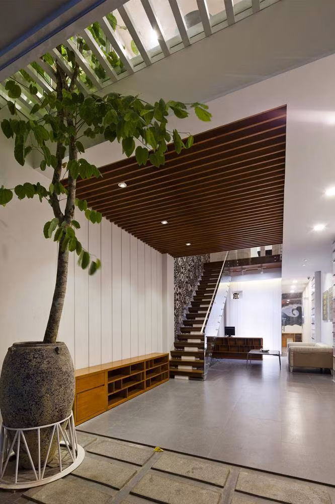 Cây hoa ban còn có tên gọi khác là móng bò sọc. Cây có hoa đẹp thanh thoát, dịu dàng, lãng mạn và hương thơm ngây ngất. Ảnh: Happynest.