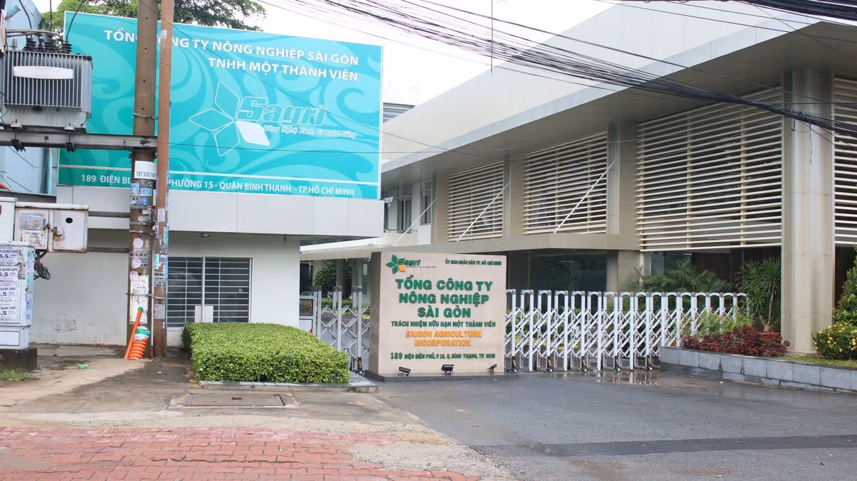 TP.HCM xet lai hinh thuc ky luat em trai ong Le Thanh Hai