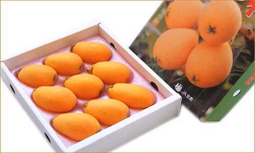 Biwa cũng trở thành món quà tặng sang trọng mà giới nhà giàu dành tặng nhau. Nguồn ảnh: Buybiwa, Loquatworld.