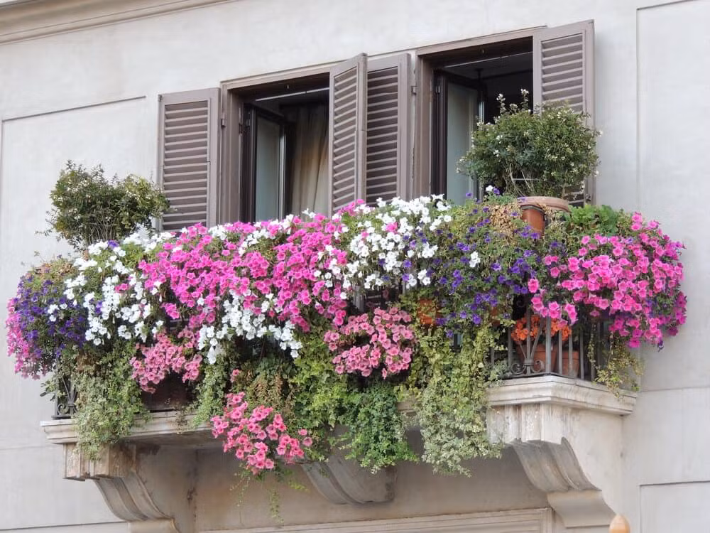 Me man nhung ban cong day hoa dai tuyet dep-Hinh-10