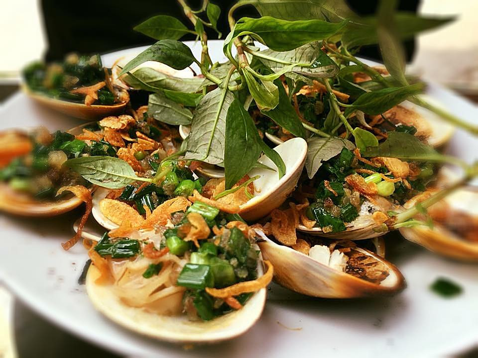 Ngao mật có vỏ dày hình tam giác, đỉnh vỏ nhô cao, mặt ngoài có lớp sừng nhẵn bóng, màu xám nâu, có những vằn vòng sẫm màu. Ảnh dktcdn.