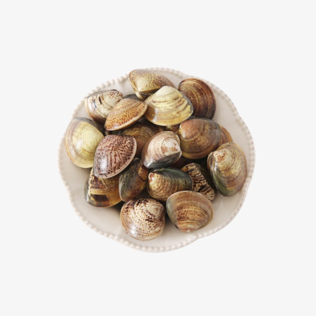 Bên cạnh việc được sử dụng làm thực phẩm, ngao mật còn được dùng trong Đông y. Ảnh Pngtree.