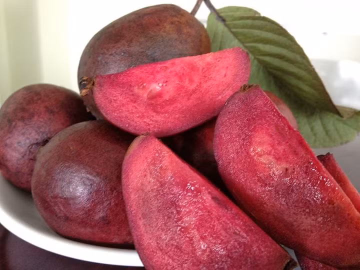 Doc la nhung loai qua mau tim gay sot o Viet Nam-Hinh-4