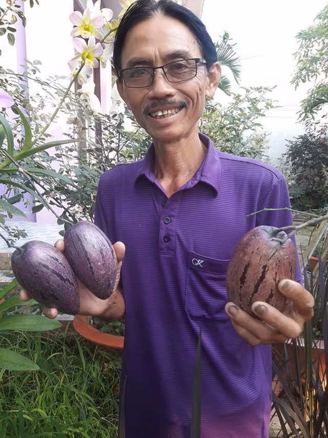 Doc la nhung loai qua mau tim gay sot o Viet Nam-Hinh-5