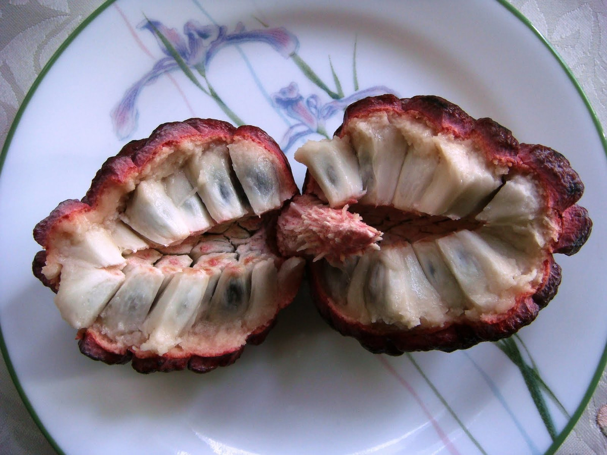 Độc lạ những loại quả màu tím gây sốt ở Việt Nam - Hình 2 Doc la nhung loai qua mau tim gay sot o Viet Nam-Hinh-2