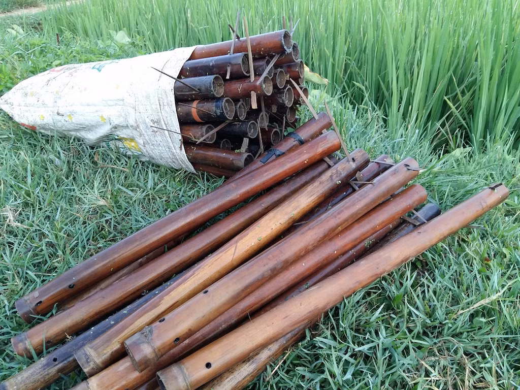 Những chiếc ống tre (trúm) là dụng cụ chính để săn lươn. Ống trúm làm bằng thân cây tre, dài cỡ hai lóng, một đầu làm miệng trúm, đầu kia để nguyên mắt. Ảnh: Hoangmaionline.