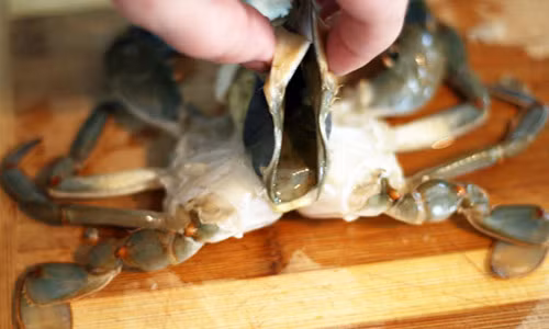 Nếu chọn mua cua lột, bạn nên mua những loại thật tươi, không bốc mùi, những dấu hiệu chứng tỏ chúng không bị bảo quản bằng hóa chất.