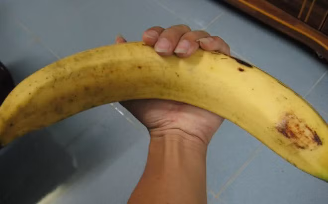 Theo người dân chia sẻ, để trồng một vườn chuối tá quạ không hề đơn giản, bởi cây ít đâm chồi, mỗi cây mẹ thường chỉ có 2 – 4 con nên phải mang cây đi nhân giống về trồng. Ảnh: Zing.