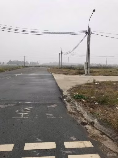 Can canh nhung manh dat chuc ty tai Dong Anh-Hinh-3