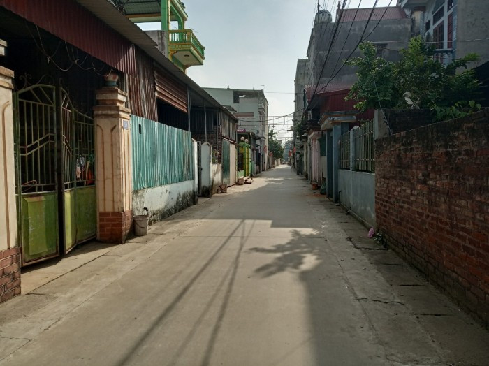 Can canh nhung manh dat chuc ty tai Dong Anh-Hinh-5