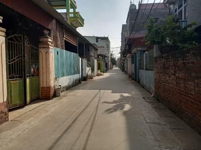 Can canh nhung manh dat chuc ty tai Dong Anh-Hinh-5