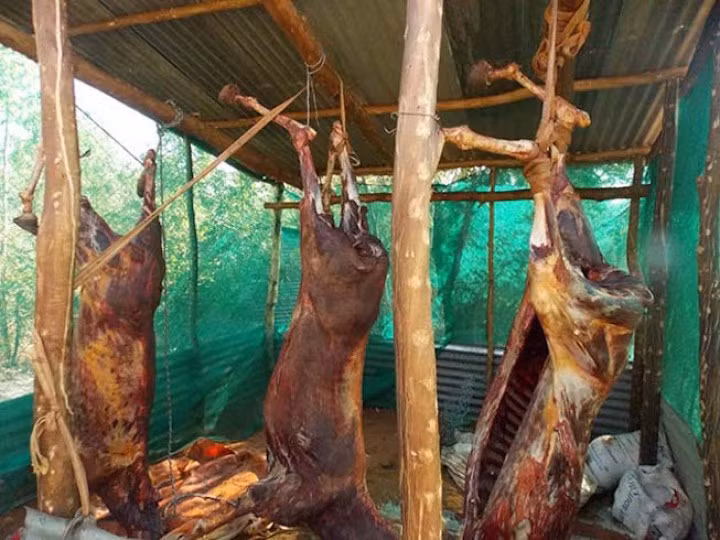 Hinh anh "soc toan tap" lot da lua lam siro-Hinh-2