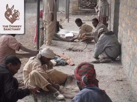 Hinh anh "soc toan tap" lot da lua lam siro