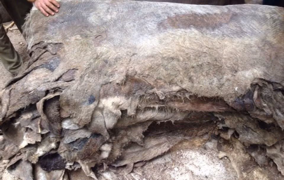 Hinh anh "soc toan tap" lot da lua lam siro-Hinh-4