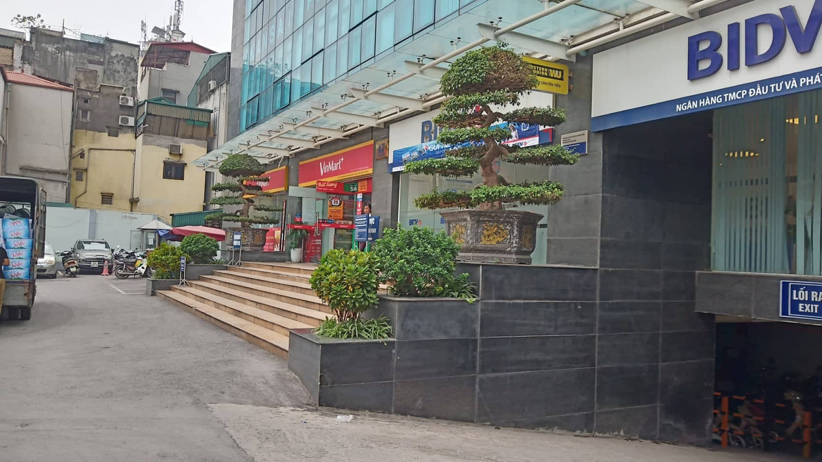 Dan kho so vi gan 80 can ho Sakura Tower khong duoc cap “so hong”-Hinh-3