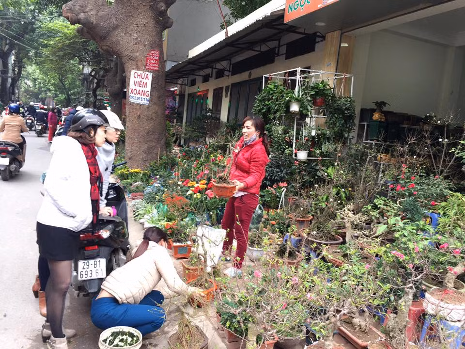 Khách hàng đi trên đường cũng luôn tiện tạt vào các cửa hàng hoa, cây cảnh để hỏi giá.