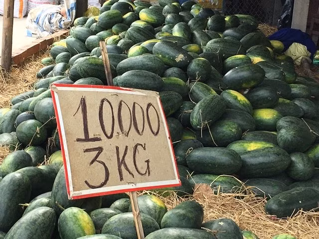 Dua hau Nhat 1,7 trieu/qua: Dat khung khiep van tranh mua