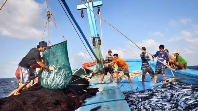 Ngư dân là những người ngày đêm lênh đênh trên biển. Khi Tết đến xuân về, nhiều người trong số họ lỡ dịp sum vầy cùng gia đình vì phải bám tàu, bám biển để lo cho miếng cơm, manh áo. Ảnh: canthotv