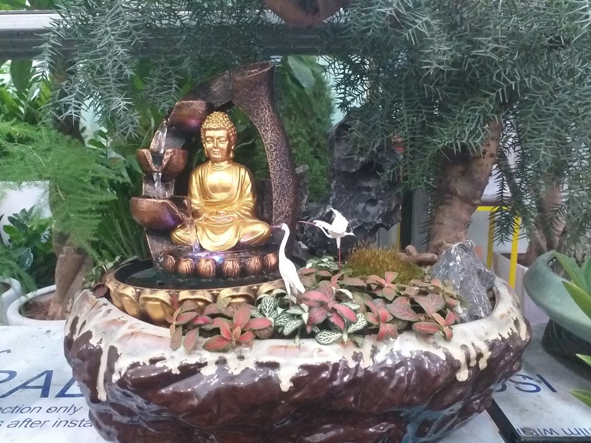 Trang trí tượng Phật lên các loại cây cảnh đang ngày càng phổ biến.