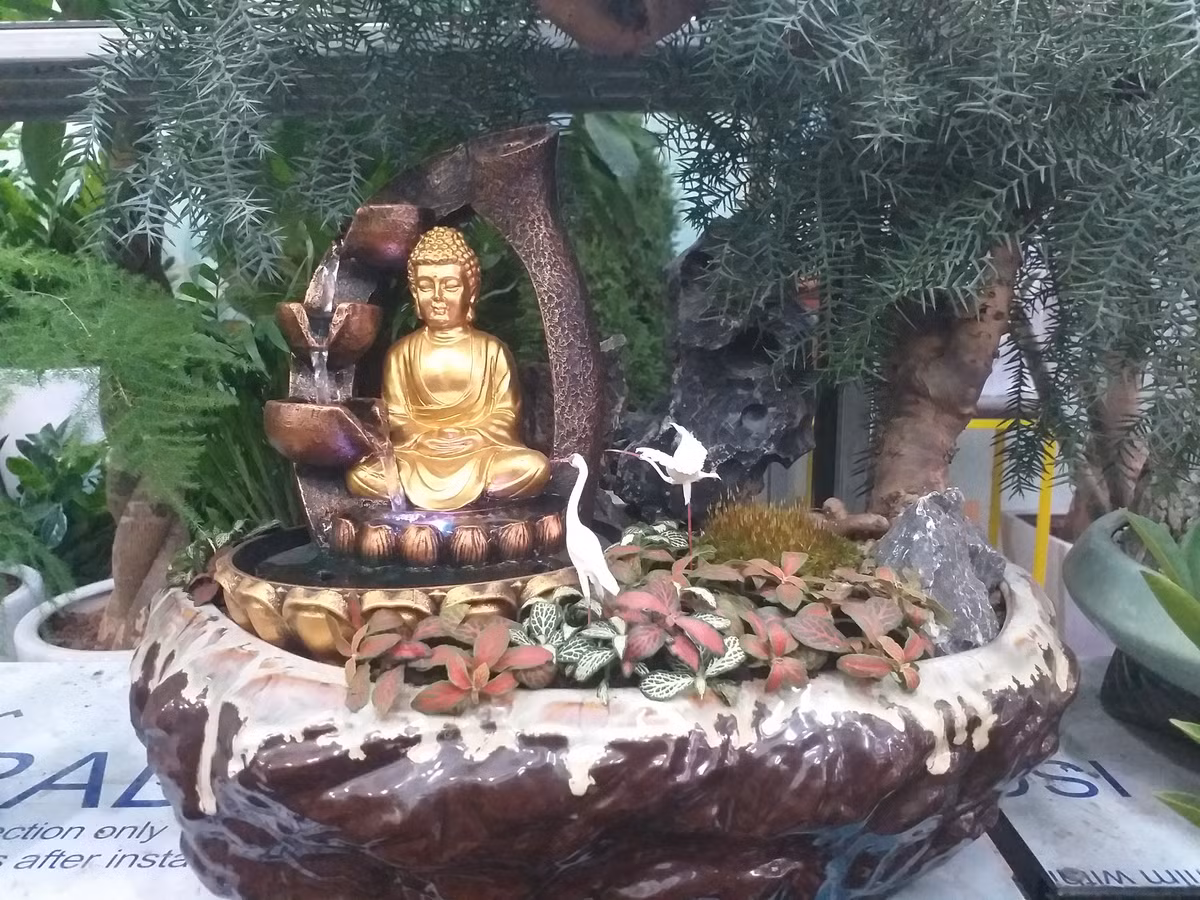 Trang trí tượng Phật lên các loại cây cảnh đang ngày càng phổ biến.