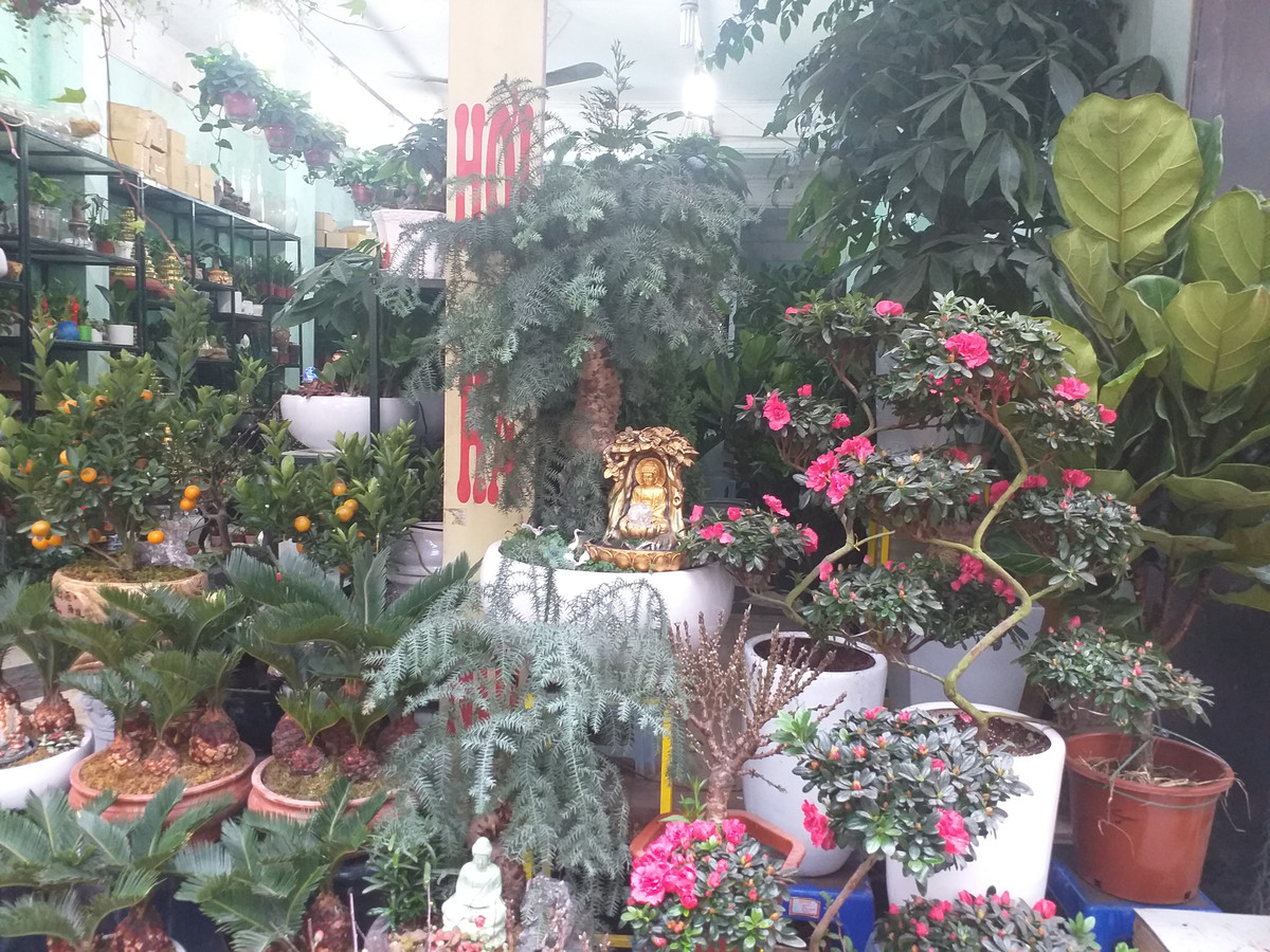 Như mọi năm, bắt đầu từ sau ngày ông Công ông Táo, phố hoa Hoàng Hoa Thám ngày càng tấp nập, sôi động.