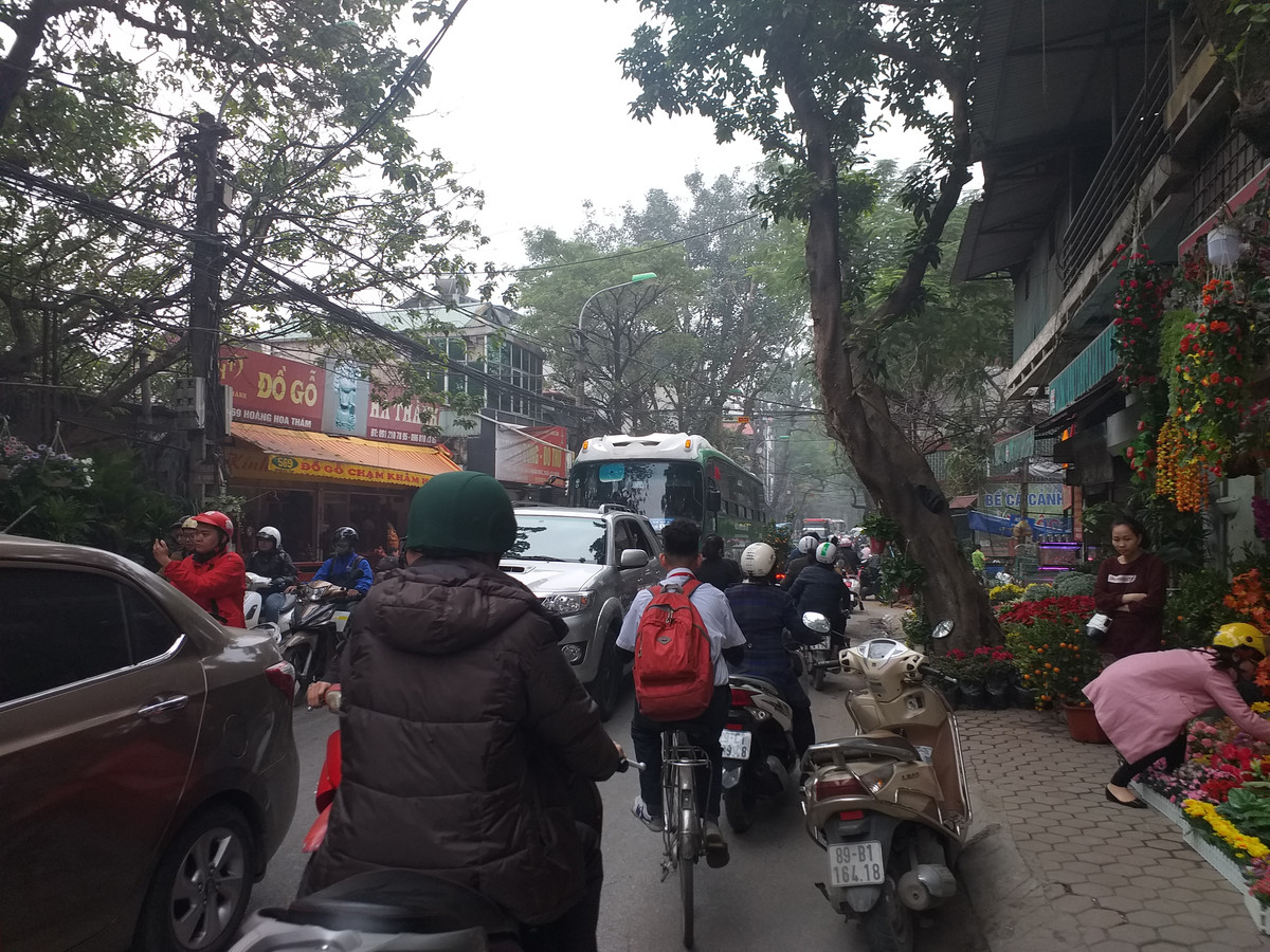 Cay canh ngap tran pho, nguoi dan Ha Noi nhon nhip mua choi Tet