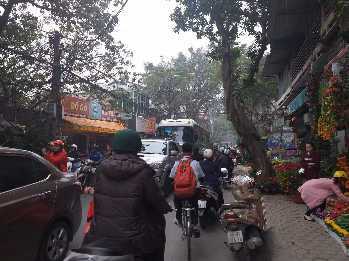 Cay canh ngap tran pho, nguoi dan Ha Noi nhon nhip mua choi Tet