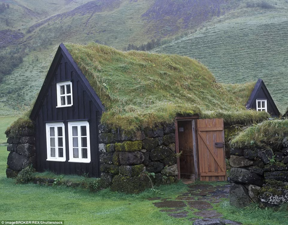 Những căn nhà mái phủ đầy cỏ xanh mượt mà là truyền thống ở nhiều nước như Iceland, Thụy Điển và Na Uy. Thậm chí còn có cuộc thi hàng năm để tìm kiếm những mẫu thiết kế nhà cỏ xanh tuyệt diệu nhất.
