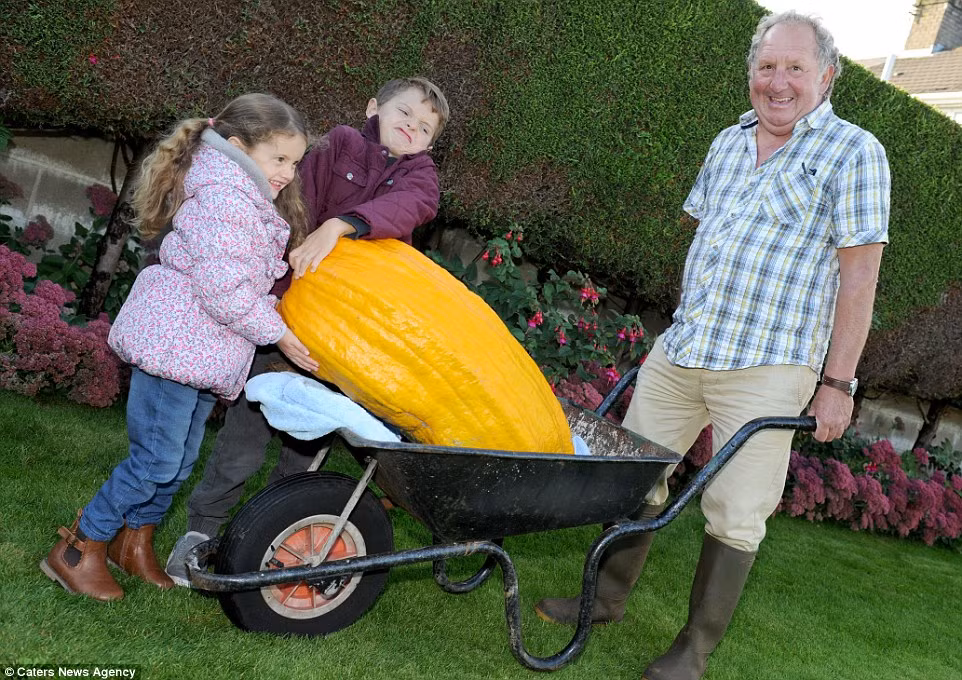 Mỗi vụ thu hoạch, khu vườn này không thể mình ông cáng đáng. Cả gia đình, hàng xóm đều được huy động đến dùng xe đẩy để kéo rau củ quả về nhà.