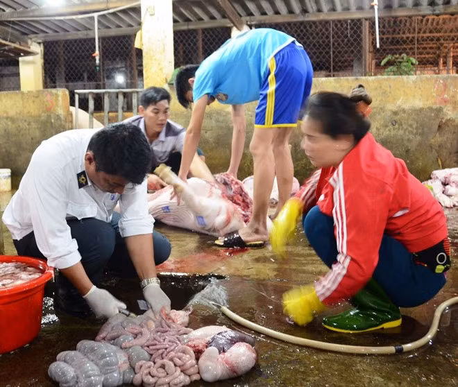 Phat hien chat tao nac tai lo mo lon nhat Bac Trung Bo