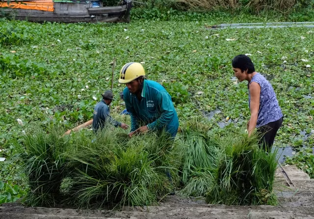 Chợ cỏ Ô Lâm họp quanh năm nhưng đông đúc và sôi động nhất là vào mùa nước nổi. (Ảnh Imageshack)