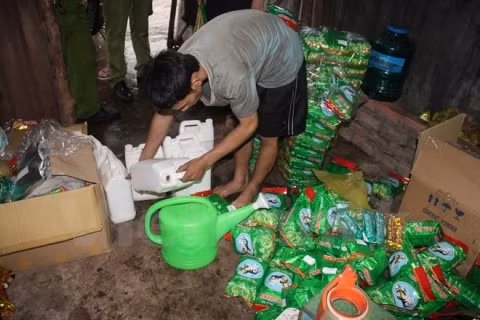 Tra nhai, tra dua thom nuc mui nho hoa chat doc hai