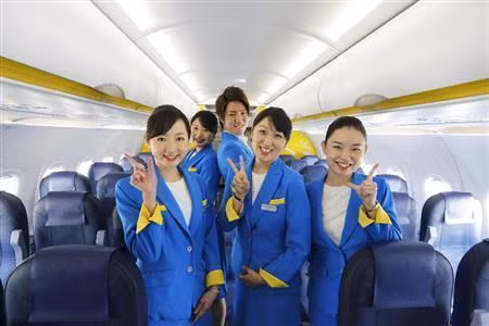 Ngoài sở hữu một đội bay hiện đại, Vanilla Air còn cung cấp các sản phẩm thân thiện với người dùng và các dịch vụ bổ sung với giá vé thấp, mạng lưới đường bay rộng lớn và tần suất các chuyến bay tuyệt vời cũng như dịch vụ giá trị gia tăng như các bữa ăn, lựa chọn chỗ ngồi và ký gửi hành lý.