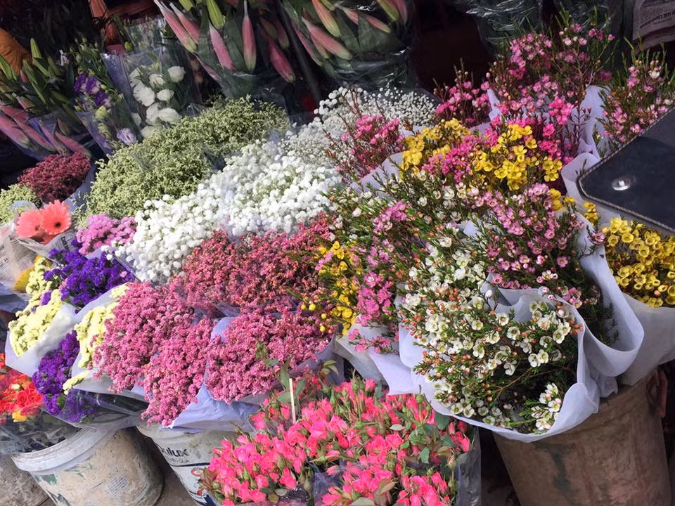 Ngoài hoa hồng là loài hoa chính được ưa chuộng trong dịp lễ tình nhân, nhiều loại hoa nhập khác như hoa thanh liễu, hoa oải hương trắng... cũng được nhiều cửa hàng bán và rất hút khách. Theo bạn Hương, một ngươi bán hàng hoa ở chợ hoa Quảng Bá: "Một trong những loại hoa nhập tăng mạnh dịp này phải kể đến hoa thanh liễu. Hoa thanh liễu bình thường giá chỉ 150.000 đồng/cành nhưng dịp lễ này tăng đột biến lên đến 200.000 đồng/cành là giá bán sỉ, còn bán lẻ 250.000 đồng/cành. Một số loại hoa khác tăng từ 50.000 đồng trở lên".