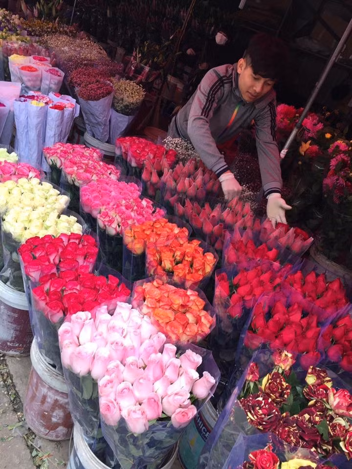 Giá hoa hồng nhập khẩu tại chợ Quảng Bá cũng tăng mạnh. Giá bán sỉ hoa hồng nhập từ 30.000 – 35.000 đồng/bông, tăng 10.000 - 15.000 đồng/bông so với vụ Tết.