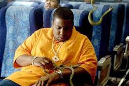 Rắn. Vào năm 2011 tại Sân bay Quốc tế Miami, một người đàn ông bị phát hiện dấu 7 con rắn và 3 con rùa. Để tránh bị hải quan phát hiện, anh ta giấu những túi đựng rắn và rùa trong quần.