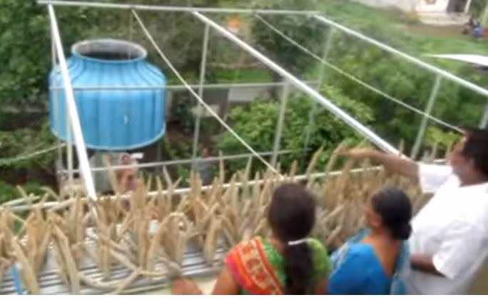 Hệ thống giàn thép tự động được lắp đặt xung quanh nhà...