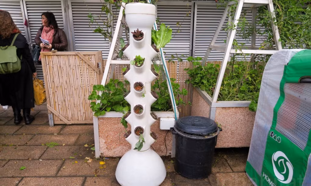 Người dân đăng ký lên tham quan vườn sẽ có cơ hội học cách sử dụng hệ thống hydroponic tại nhà, đồng thời được trải nghiệm quy trình sản xuất rau tươi sạch tại chỗ.