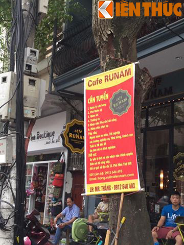 Thân cây làm chỗ treo biển quảng cáo, tuyển dụng.