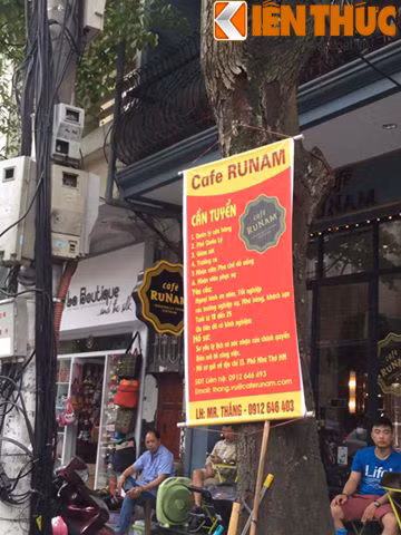 Thân cây làm chỗ treo biển quảng cáo, tuyển dụng.