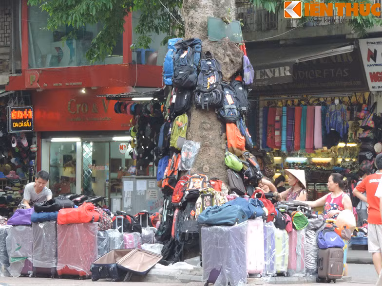 Một "cửa hàng" vali, ba lô, túi xách mặc nhiên hoạt động trên vỉa hè ở phố Lò Sũ, Hoàn Kiếm. Điều đáng nói là chủ bán hàng còn tận dụng gốc cây cổ thụ để treo hàng bán, những chiếc vali được bày la liệt trên vỉa hè... Cảnh tượng này thật mất mỹ quan đường phố.