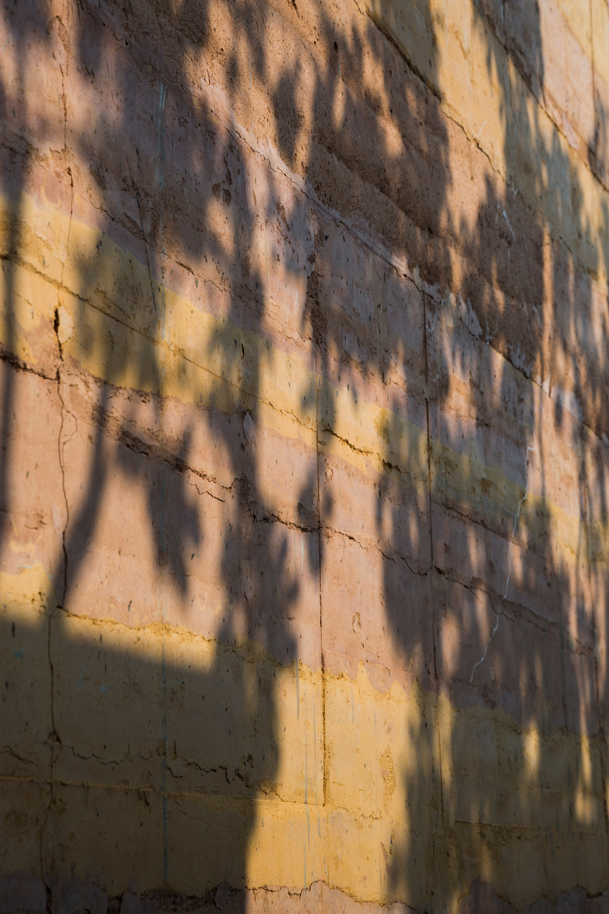 Những bức tường của ngôi nhà dày 35cm và được xây dựng hoàn toàn bằng đất. Nguồn ảnh: dezeen.