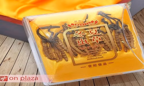 Su that ve than duoc cai tu hoan sinh nha giau Viet dang lung mua