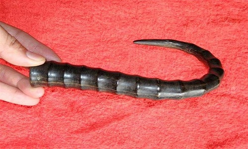 Su that ve than duoc cai tu hoan sinh nha giau Viet dang lung mua-Hinh-2