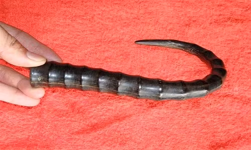 Su that ve than duoc cai tu hoan sinh nha giau Viet dang lung mua-Hinh-2