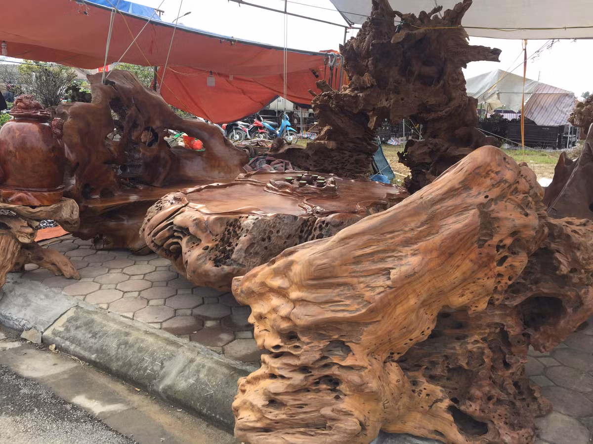 Bộ bàn ghế gỗ lũa tự nhiên quý hiếm của vị chủ nhân ở Lương Sơn, Hòa Bình được định giá lên đến cả tỷ đồng. Bộ tuyệt tác này gây ấn tượng bởi độ to khủng của các món đồ và đặc biệt là tất cả đều rất tự nhiên, ít có sự can thiệp của bàn tay con người.